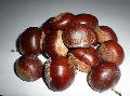  fresh   chestnut  crop