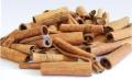 Cassia Vera Cutting
