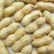 peanut in shells,peanut kernels,blanched peanut kernels,roasted peanut in shells