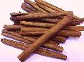  Cassia   Bark   Extract 