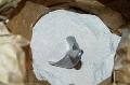 Wheat flour 25kg,50kg bags
