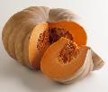  Pumpkin   Seed   Extract 