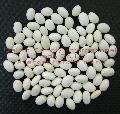 White kidney bean Pearl Bean