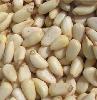  red   pine   nuts 