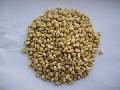 huashan pine nuts