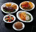 biodegradable pulp moulded plate in various sizes