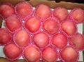 Fuji Apple
