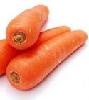 Fresh carrot