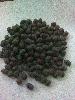 Black Lotus seeds