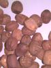 Red lotus seeds