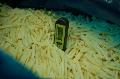 Quick frozen sliced bamboo shoot