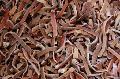 Quick frozen black fungus slics