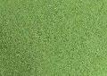  AD   spinach   powder 