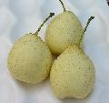  ya   pear -3pcs