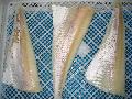 Frozen Alaska Pollock Fillet