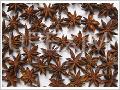  Star   aniseed s with  stem s