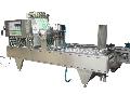 BG Series automatic filling and sealing machine