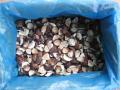 Boletus Edulis IQF
