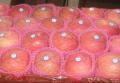 fuji apple fruit