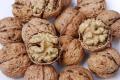 walnuts in shells