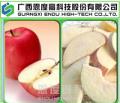 Freeze Dried Apple (FD Apple)
