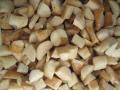 boletus