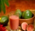 Aseptic Pink  Guava   Pulp 