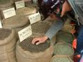 coffee Robusta export standards