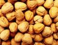 walnut in shells