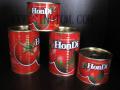 70 g canned tomato paste