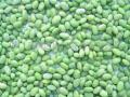 Green soybean kernels