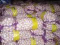 Normal white garlic, 20kg mesh bag