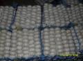 Normal white garlic in 5 kg mesh bag