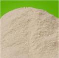 yeast powder