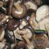 Canned Shiitake 2-4cm  pickle d in  glass   jar s
