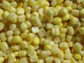  IQF  sweet  corn   kernel 