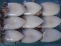  Frozen   Squid   T & T 