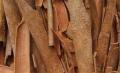 CINNAMON