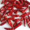  DRIED  CHILLI