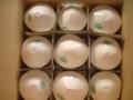  young  green  coconut  -  young   coconut 