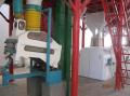 semolina flour machine