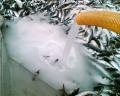 special slurry ice machine
