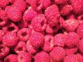 IQF raspberry