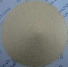 Medicine Gelatin (GPPG10-089)