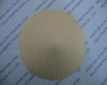 Medical Gelatin for Hard Capsule Manufacturing (GPPG10-089)