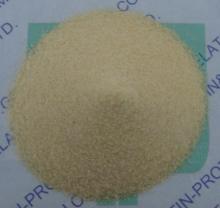 Medicine Gelatin for Hard Capsule Manufacturing (GPPG10-089)