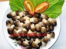 canned mushroom