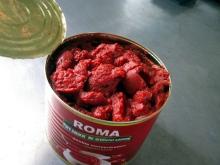 brix  30 - 32 %  hot   break   tomato   paste 