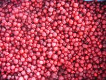 IQF Lingonberry