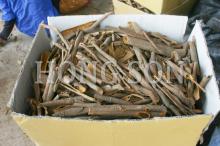 broken cassia